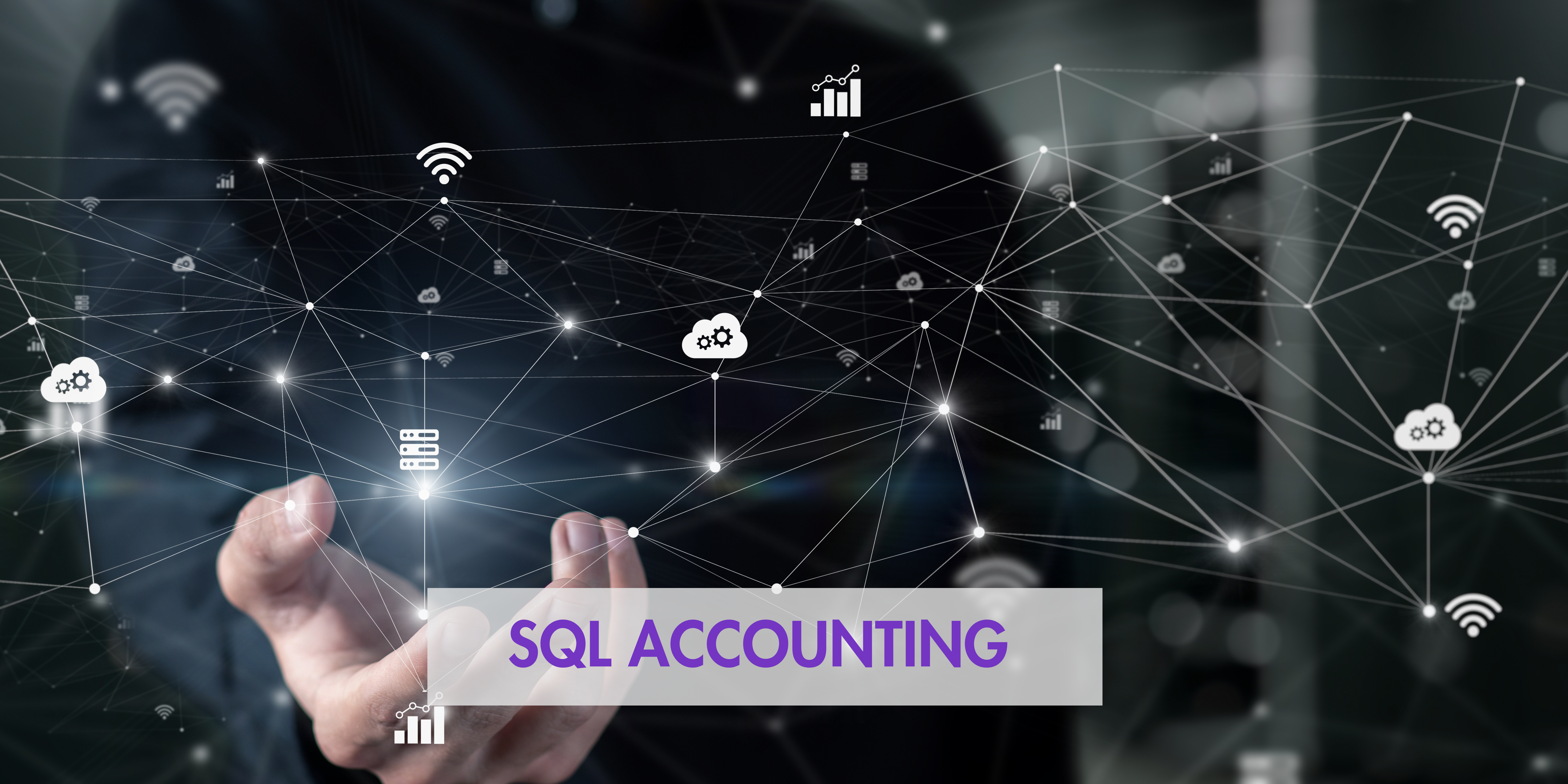 SQL Accounting 